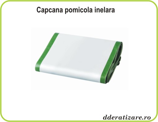 Capcana pomicola inelara